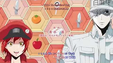 AMV』Hataraku Saibou OP Full - Mission! Ken・Kou・Dai・Ichi ／ Red, White, Killer T, Macrophage