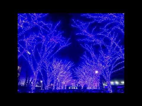 【無縁坂】　グレープCover　仙骨・覚醒Ⅱ　2023,12,25