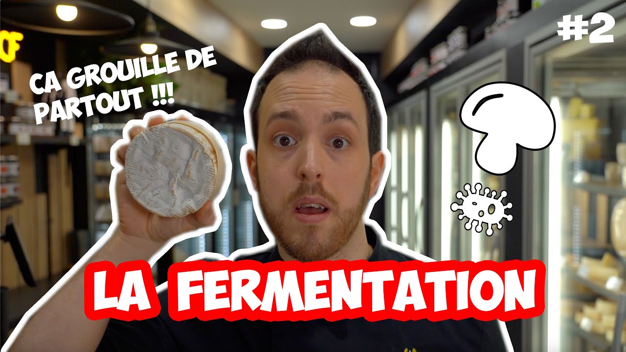 🍄 LA FERMENTATION | 100.000.000.000.000 de bactéries 🍄 🦠 dans ton organisme 💥💥