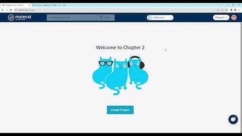 Common Errors(MateCat)