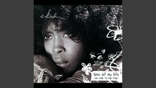 Love Of My Life (An Ode To Hip Hop) (Radio Edit)