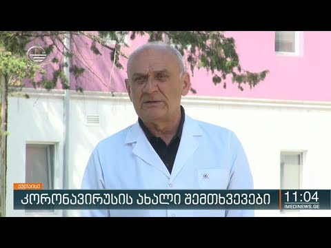 ქრონიკა 11:00 საათზე - 13 ივნისი, 2020 წელი