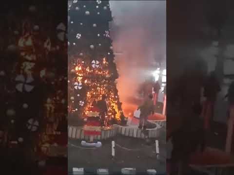 حرق شجرة الميلاد في سقيلبية سوريا اكسبلور سقيلبية