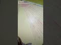 شم شم يا شم يا شم يا 