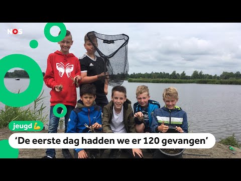 Wedstrijd: Wie vangt de meeste rivierkreeften?