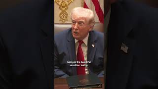 Trump voted by mail despite calling the method 'cheating'