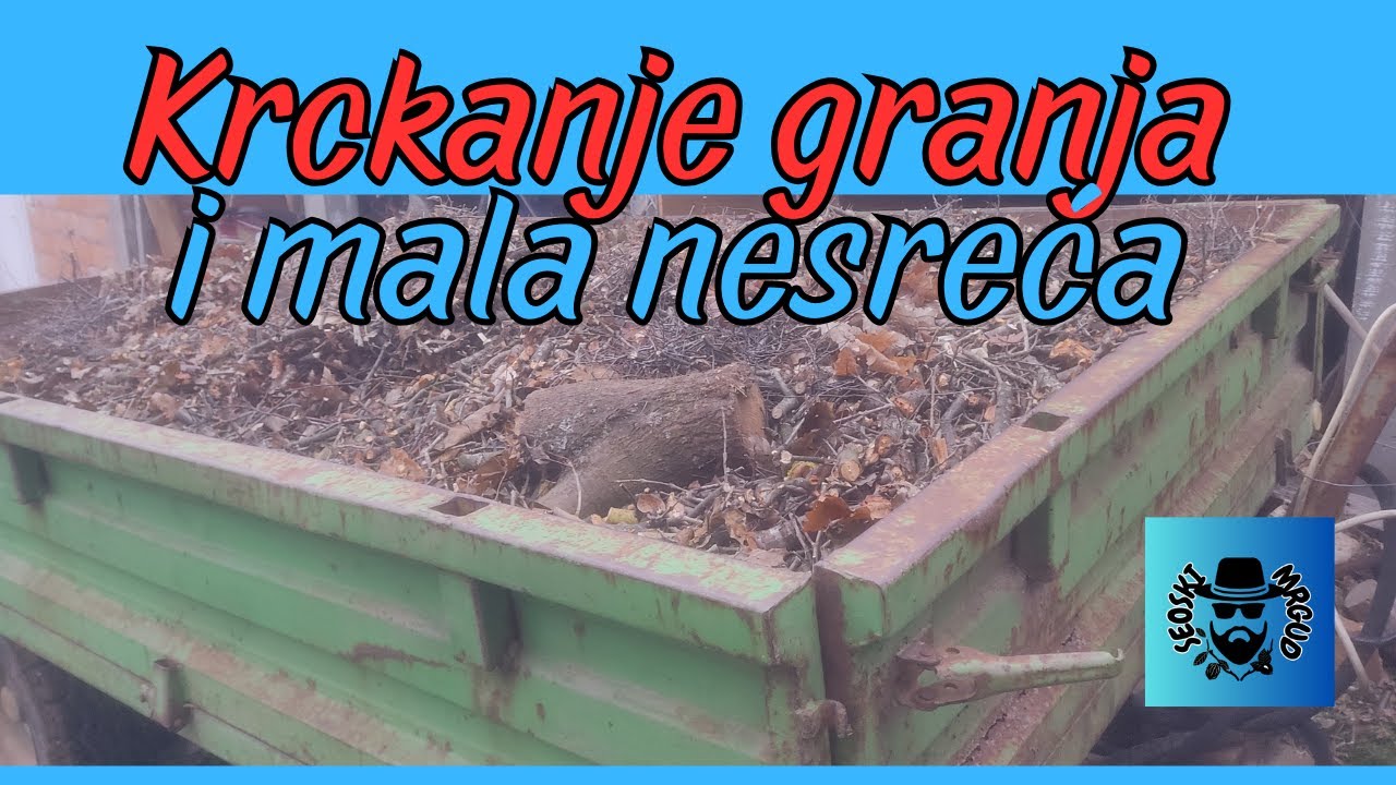 Krckanje granja u šumi i mali nesretni slučaj