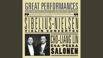 Violin Concerto in D Minor, Op. 47: II. Adagio di molto