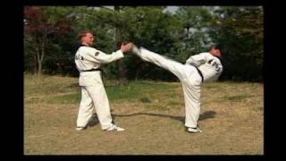 Taekwondo (10).avi