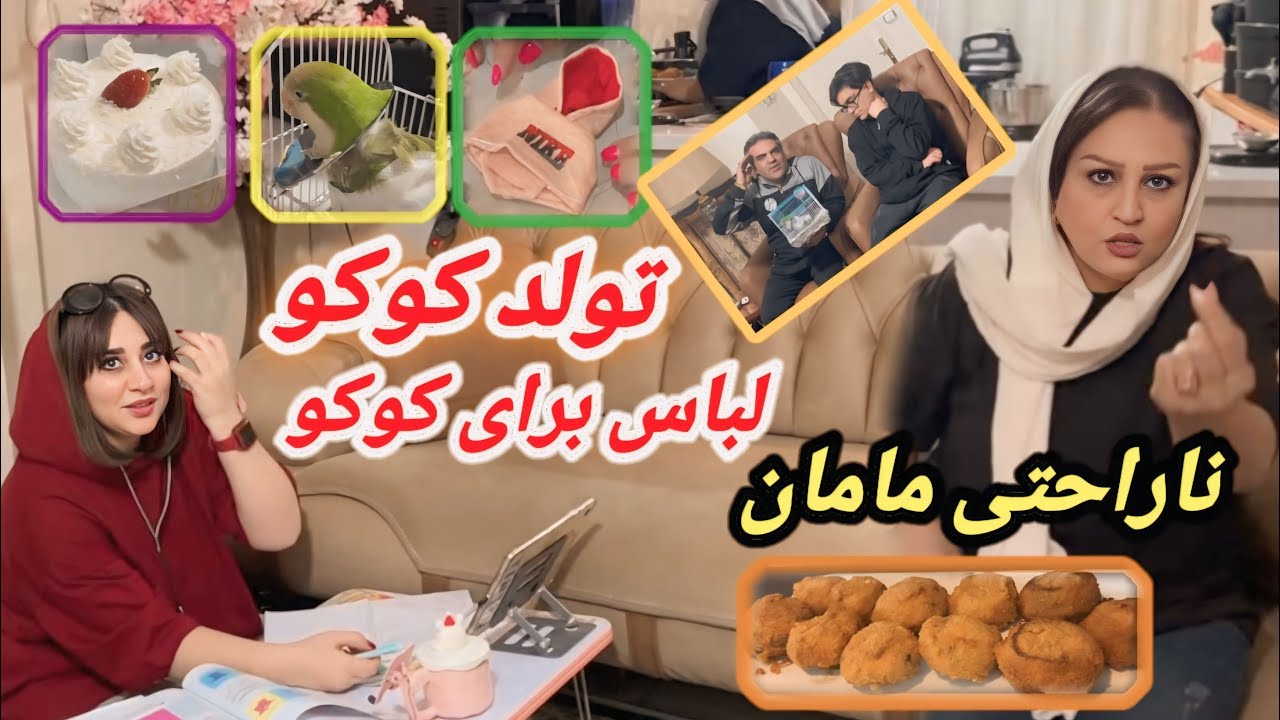 جشن تولد کوکو با لباس ها جدید /قارچ شکم پر سوخاری/و دلیل ناراحتی مامان چیست ؟
