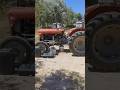 Massey Ferguson 35 gearbox service &amp; hydraulics