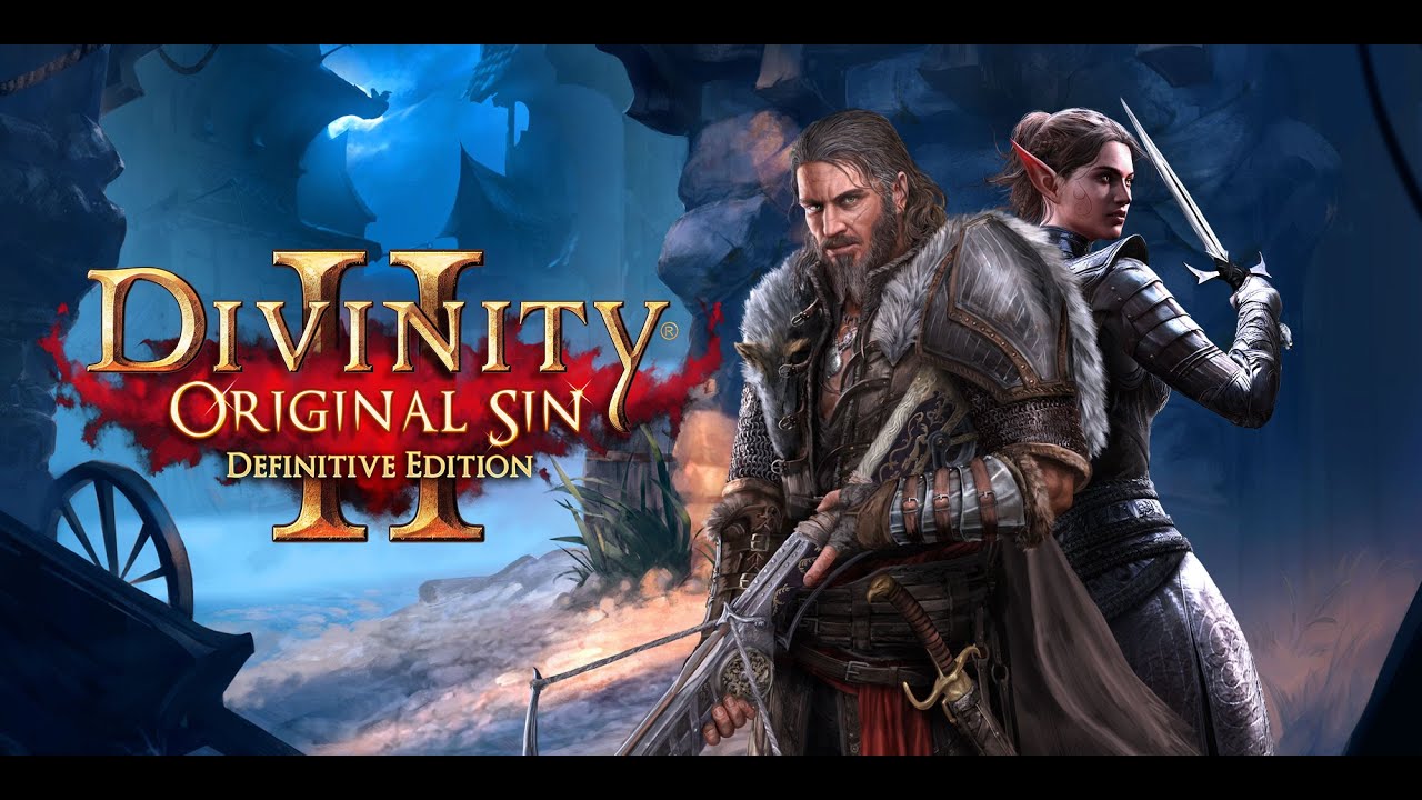 Switch 北米版 Divinity Original Sins II Divinity: Original Sin II - Definitive Edition (Nintendo