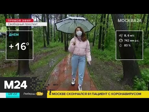 "Утро": до 16 градусов тепла ожидается в Москве в среду - Москва 24