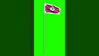 Flag of Plotagonia  🏁 🟢 Green Screen (𝙁𝙧𝙚𝙚 𝙏𝙤 𝙐𝙨𝙚)