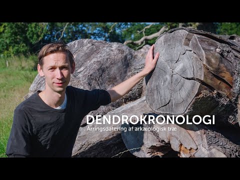 Dendrokronologi - årringsdatering af arkæologisk træ