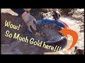 Special Gold panning technique
