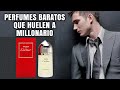 Cinco Perfumes baratos para Hombres que huelen a caro || Fragancias economicas de Hombres