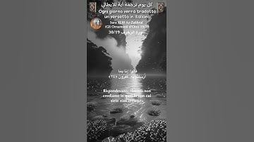 سورة الزخرف 30/19 turk/arab#القران_الكريم  #quran