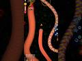 Worms zone trolling big  snake wormszoneio shorts snakegame viral youtubeshorts fungame