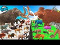 Prehistoric mammals epic battle real life animals vs ark ark survival evolved animals animal battle