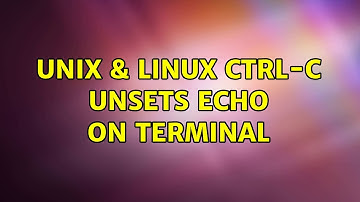 Unix & Linux: ctrl-c unsets echo on terminal