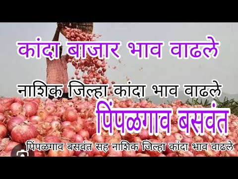 नाशिक जिल्हा कांदा भाव वाढले,kanda bajar bhav Today nashik Kanda market riport