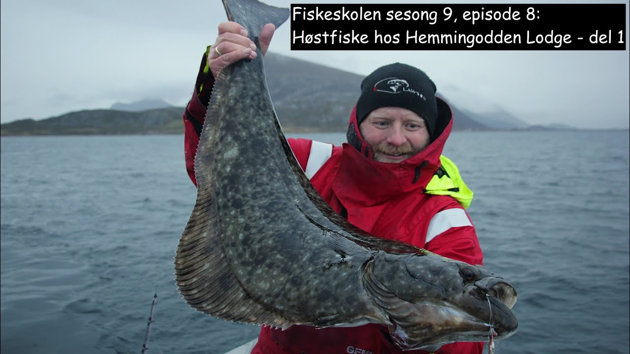 Fiskeskolen sesong 9, episode 8: Høstfiske hos Hemmingodden Lodge, del 1