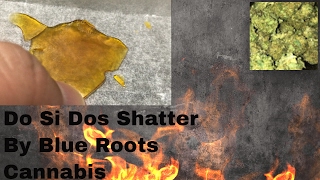 Recreational Cannabis Review Do Si Dos Shatter By Blue Roots