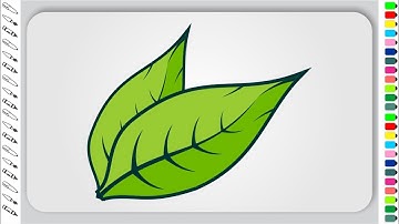 Leaf Drawing with CorelDraw | Drawing | CorelDraw Tutorial