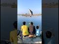 Fish Caught a Lollipop! 🍭🐟 #funny #viral #foryou #foryoupage #funnyvideos