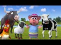 El Pollito y el tractor la granja de zenón Escapando del Toro y del Pollito La vaca Lola Remix