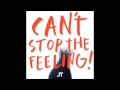 JUSTIN TIMBERLAKE CANT STOP THE FEELING