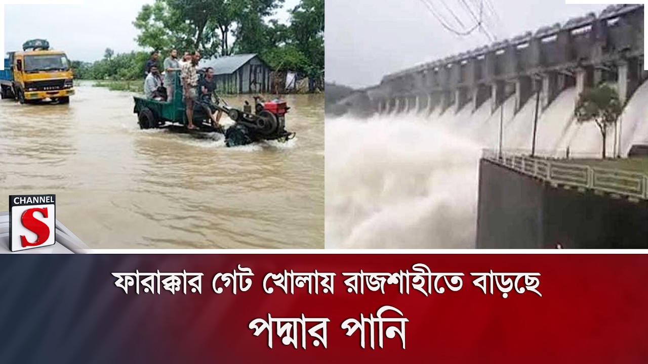 ফারাক্কার গেট খোলায় রাজশাহীতে বাড়ছে পদ্মার পানি | Farakka | Padma River | Channel S News