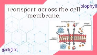 PHYSIOLOGY| Transport across the cell membrane in tamil | with examples |
