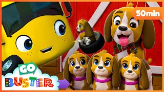 Puppies! Buster Helps Out  | Go Learn With Buster | Videos for Kids