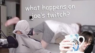 DAY6 Jae being a chaotic mess on Twitch