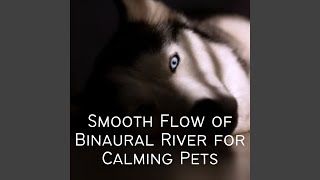 Canine Calming Flow