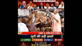15 June 2026 | UP Breaking News Today | 15 Big Updates | Modi ji | yogi Adityanath | IndiaAlartNews
