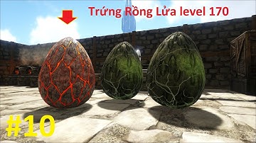 ARK: Lost Island #10 - Mình Đã Trộm Thành Công Trứng Rồng Lửa "Fire Wyvern" Max Level 170 👍😆