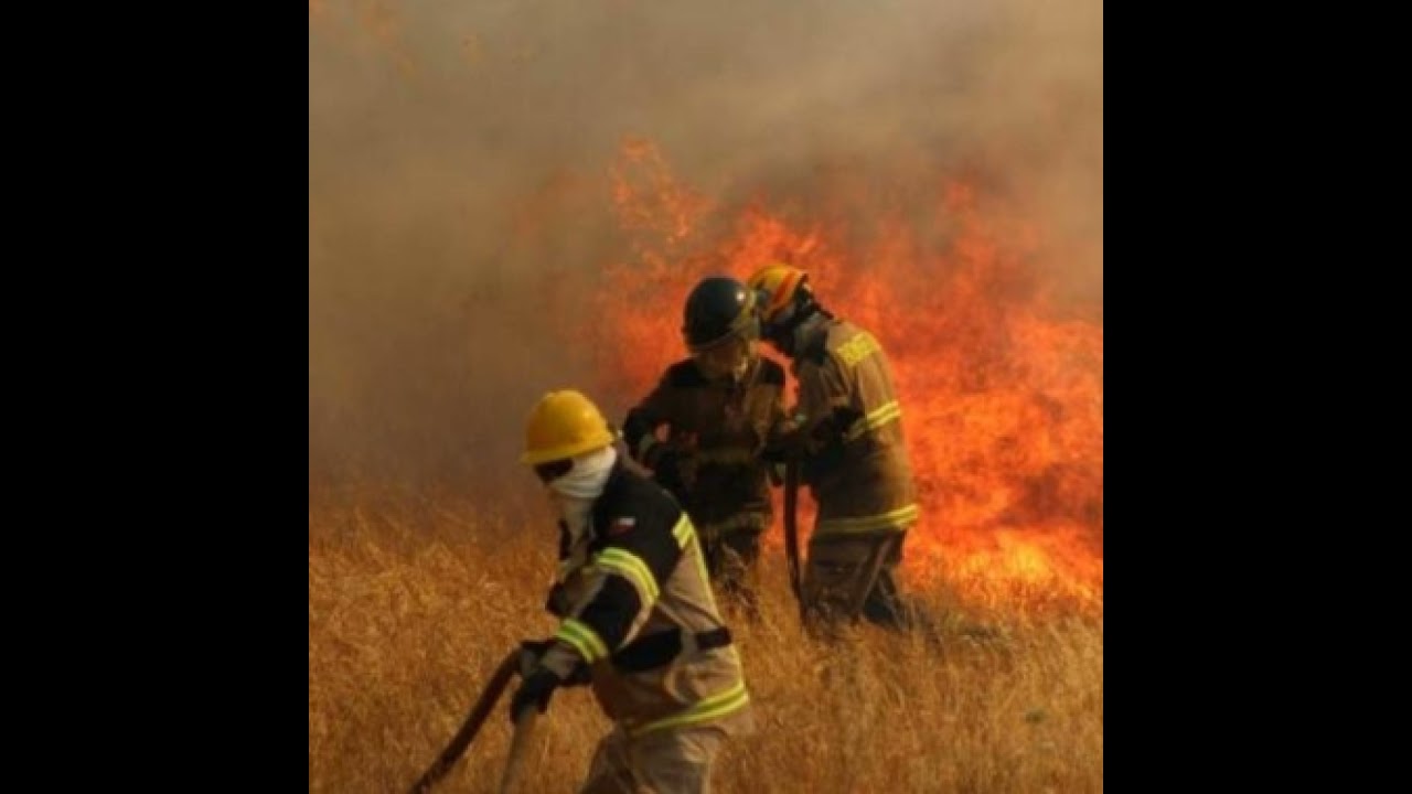 Negrita, subrayado y cursiva. "De otras pavesas incendiarias"