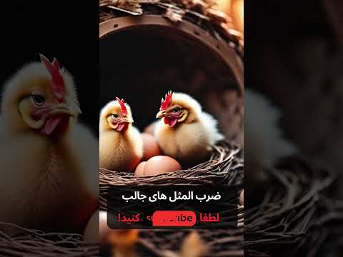 معنی ضرب المثل جوجه رو آخر پاییز میشمارن