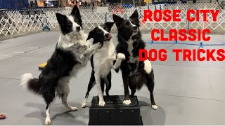 Rose City Classic Dog Show Trick Evaluations 2024