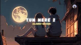Tum mere 2 - Triggered insaan || Fukra insaan || slowed reverb lofi song