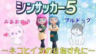 【シンサッカー3】ネコとイヌの優勝目指す旅