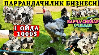 картинка: ПАРРАНДА БОҚИБ КУЧАЙИБ КЕТГАН АКАНИ ХОНАДОНИГА ТАШРИФ ВА ШУ БИЗНЕС ХАҚИДА МАЛУМОТ