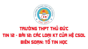 Tin 12 - Bài 12: Các loại kiến trúc của Hệ cơ sở dữ liệu