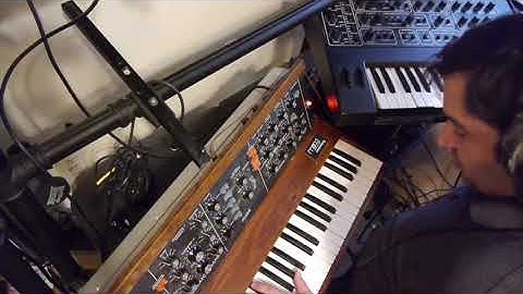 Sequential Pro One vs. Minimoog (old osc), leads and basses.