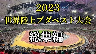 【世界陸上ブダペスト大会】エンディング風な総集編動画　〜BGM「織田裕二 / All my treasures」にのせて〜