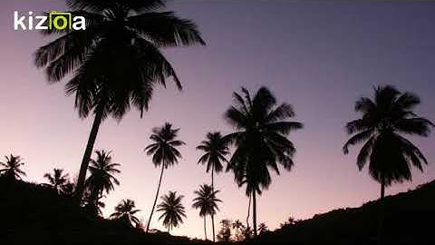 Kizoa Movie - Video - Slideshow Maker: dance