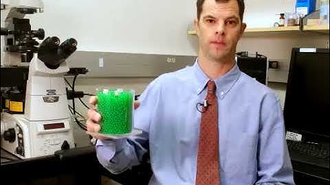 3D Imaging and Analysis of Mitochondria in Intraepidermal Nerve Fibers | Protocol Preview